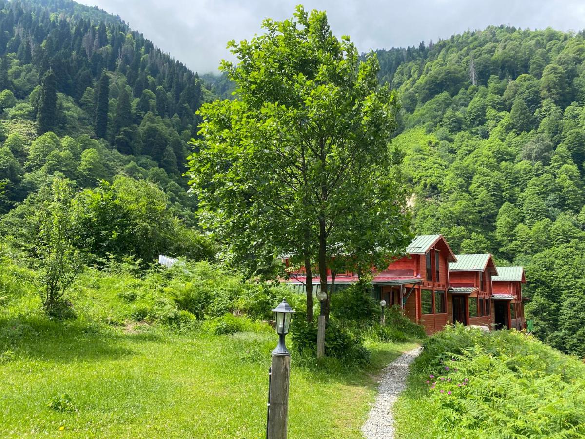 Ayder Villa Gencal Eksteriør billede