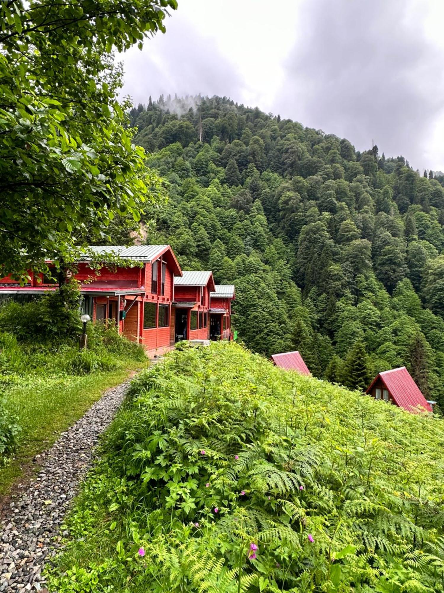 Ayder Villa Gencal Eksteriør billede