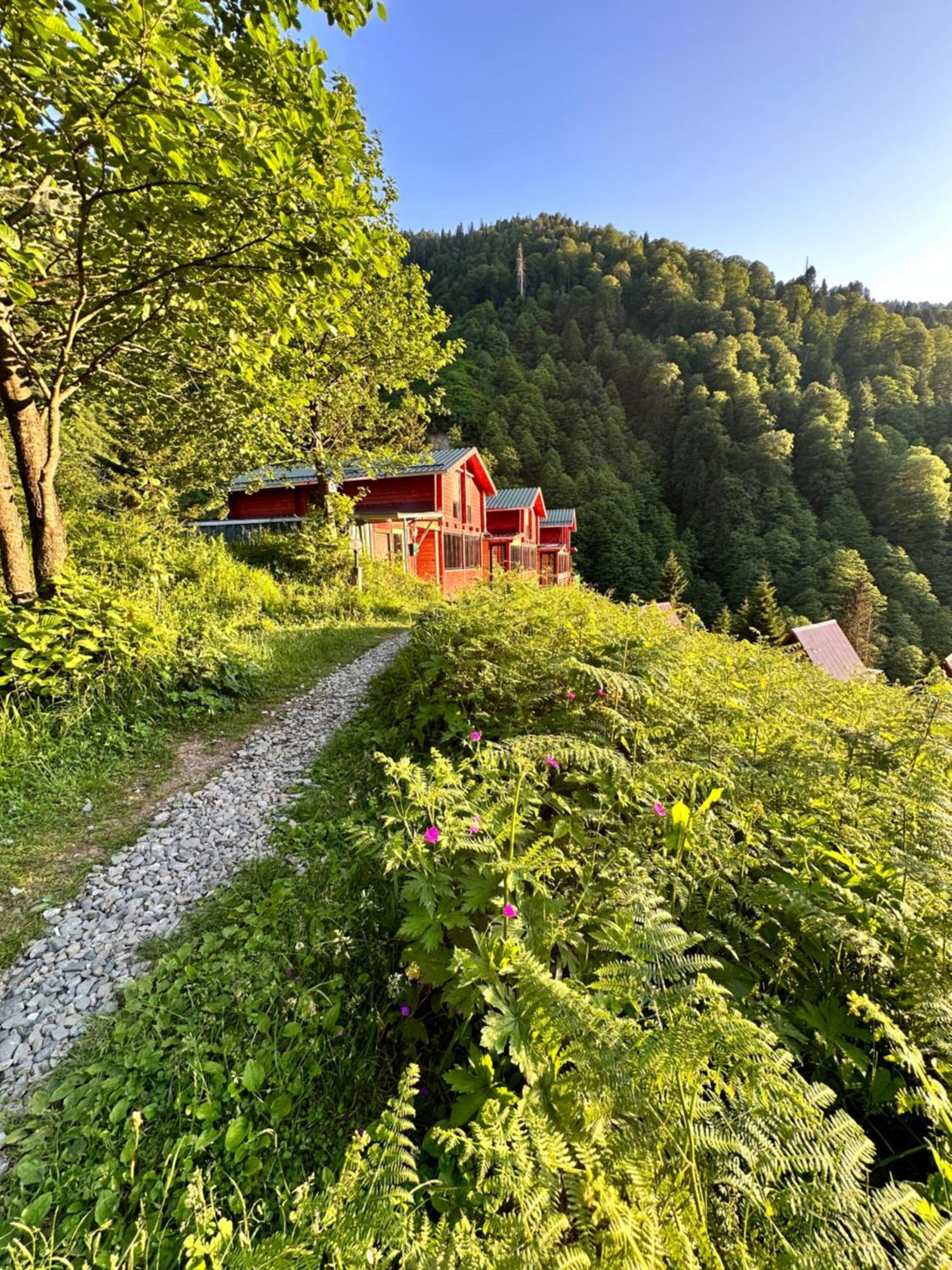 Ayder Villa Gencal Eksteriør billede